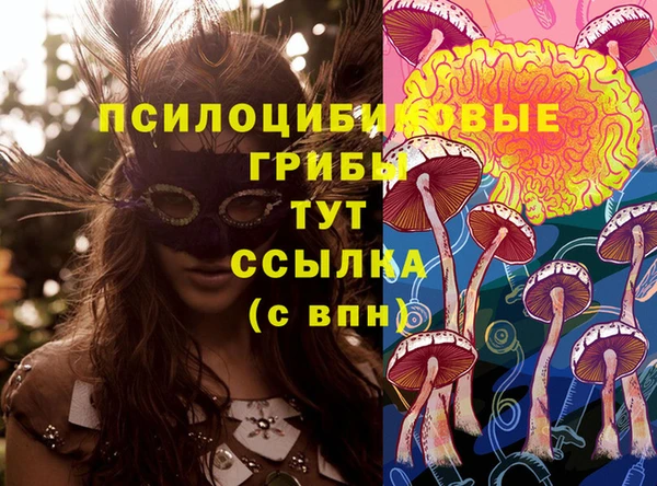 трава Осташков